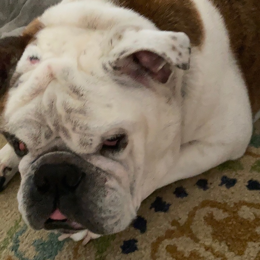 Meet your Posher, Ethan